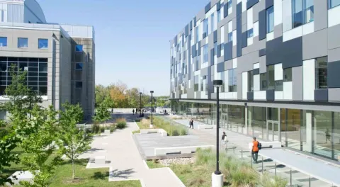 Business Courses in York University