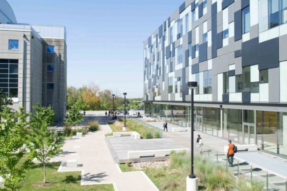 Business Courses in York University
