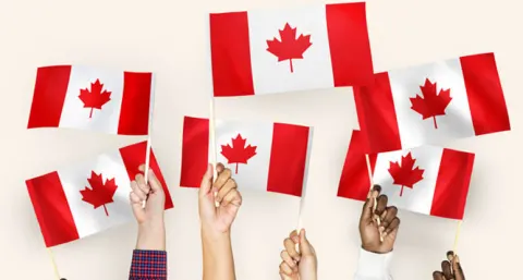 Best 5 Canadian University For Business Course