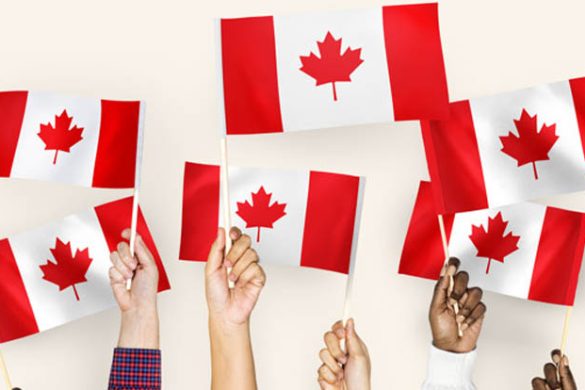 Best 5 Canadian University For Business Course