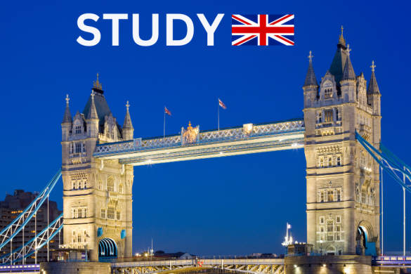 What is Priority Visa Services in the UK?